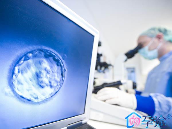 000000000000000IVF-rex.jpg