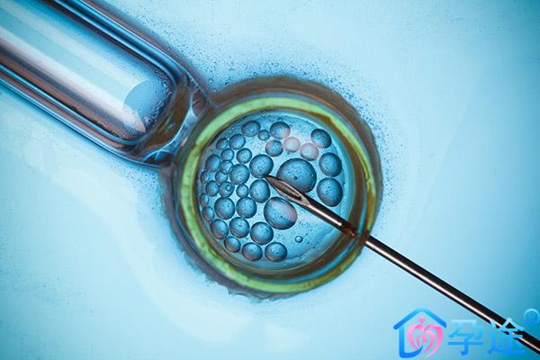 泰国试管试管婴儿胚胎冷冻技术有哪些好处