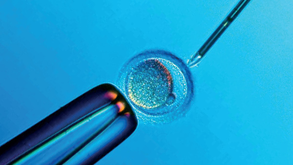 泰国试管卵巢早衰可以做试管婴儿吗
