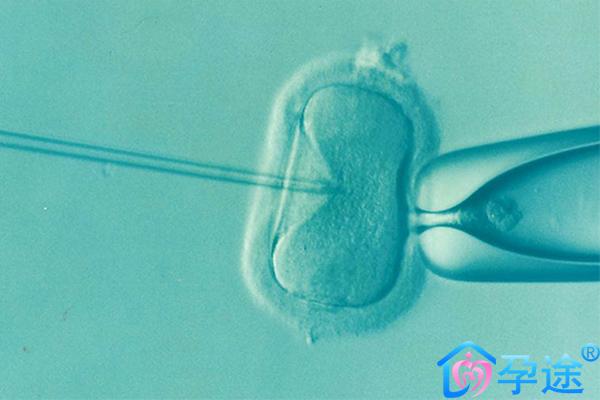 泰国试管婴儿胚胎冷冻保存你知道多少