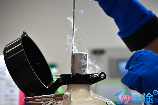 杰特宁 sperm freezing.jpg 杰特宁 sperm freezing.jpg